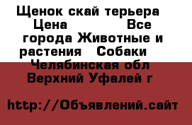 Щенок скай терьера › Цена ­ 20 000 - Все города Животные и растения » Собаки   . Челябинская обл.,Верхний Уфалей г.